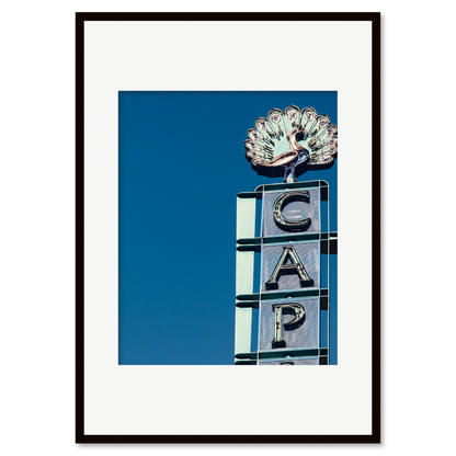 Capitol Theatre, Sydney I - Fine Art Print