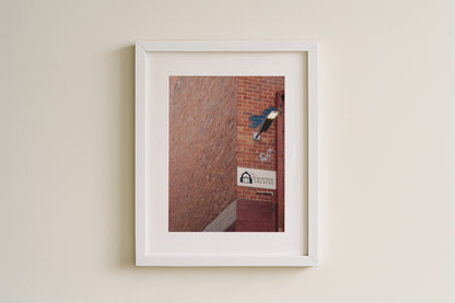 The Playhouse Theatre, Hobart II - Fine Art Print