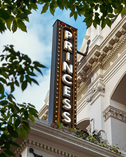 The Princess Theatre, Brisbane I - Fine Art Print